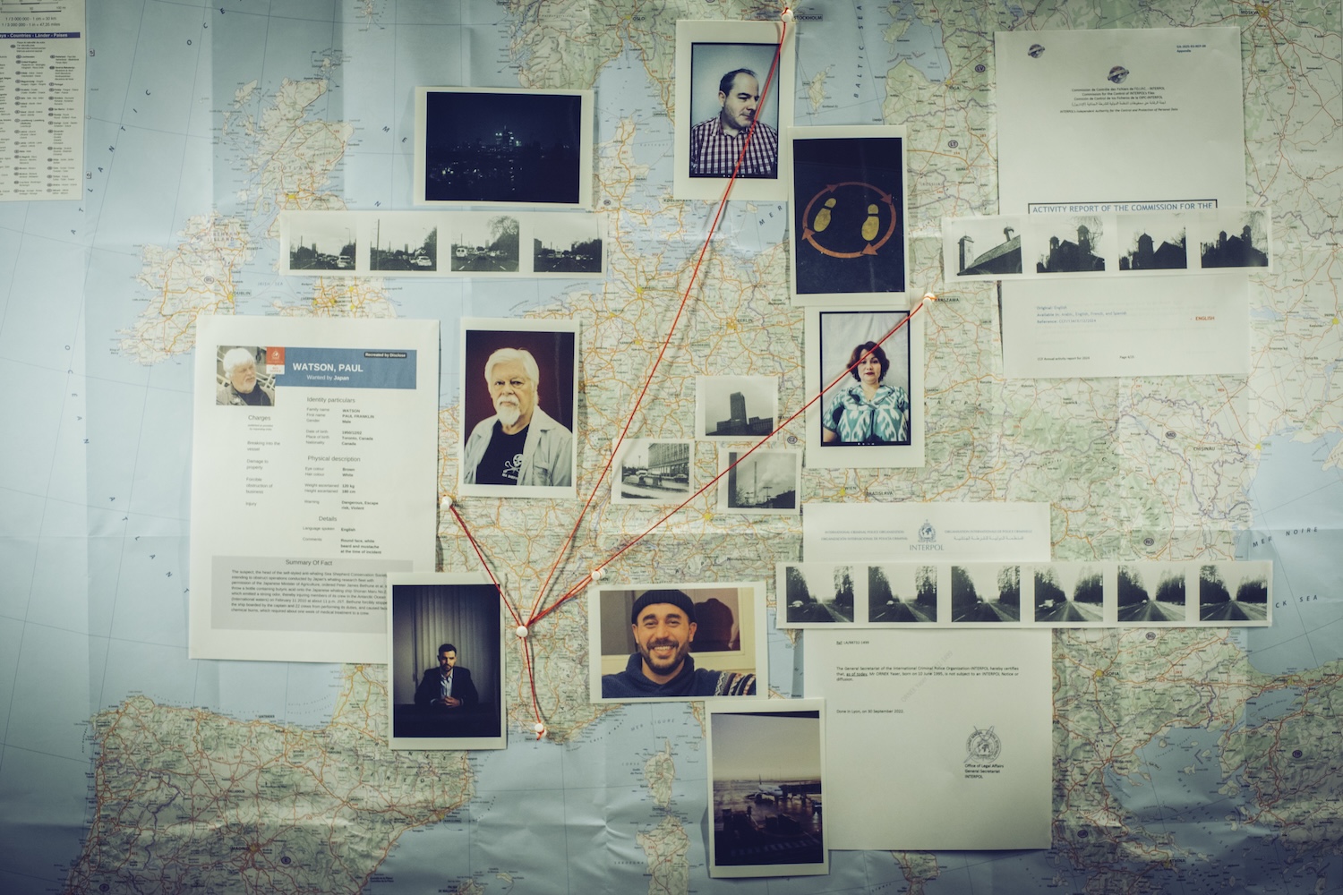 INTERPOL FILES